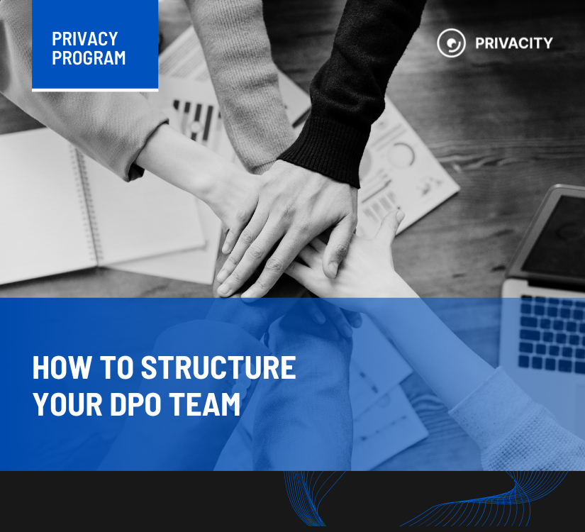 How to structure your DPO team