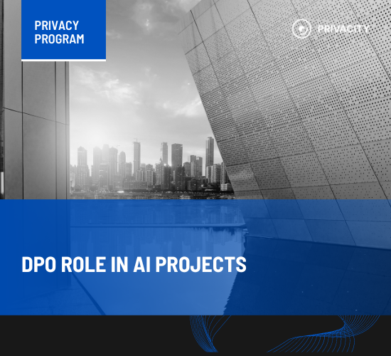 DPO role in AI projects